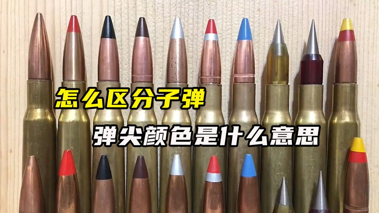 怎么区分子弹，弹尖不同颜色代表什么意思_高清1080P在线观看平台_腾讯视频
