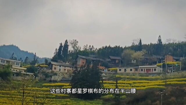 贵州安顺老家隔壁镇,本来想去拍大片梯田.可惜改种了楠竹