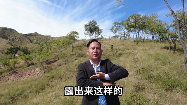 探头山 弘扬国学传统文化