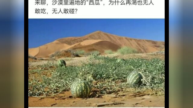 这样的公司气氛应该很好吧