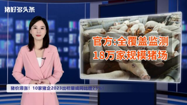 猪价滞涨!猪企2023出栏量预增23%!官方全面监测18万家规模猪场