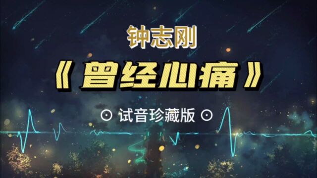 钟志刚《曾经心痛》》试音神曲完整版/无损HiFi/全景环绕立体声/期待烧友品鉴点评