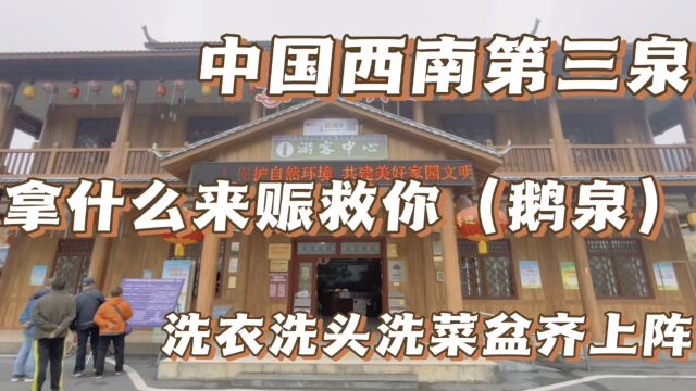 中国西南第三泉,广西百色,靖西鹅泉,请给他一片清澈!