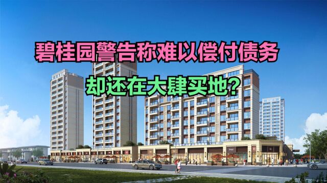 碧桂园警告称难以偿付债务,却还在买地?19月房企拿地金额排名