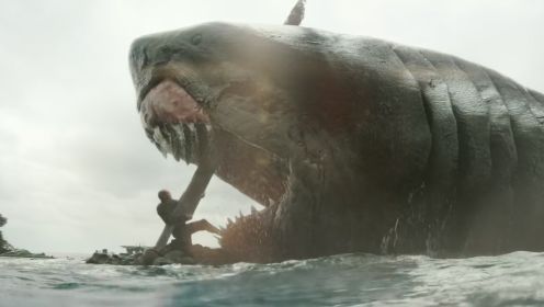 霸王龙的咬合力可达12吨，可在巨齿鲨面前却是个渣渣