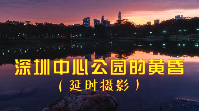 深圳中心公园的黄昏延时摄影