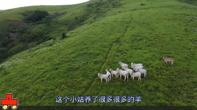 生活中的有趣事儿(下)