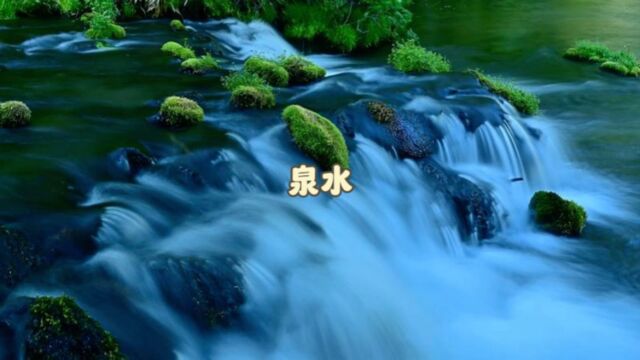 《泉水》赏析 《诗经邶风》