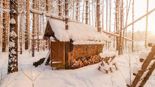 俄罗斯人在野外如何搭建庇护所露营，木头不要钱似的，野营生活