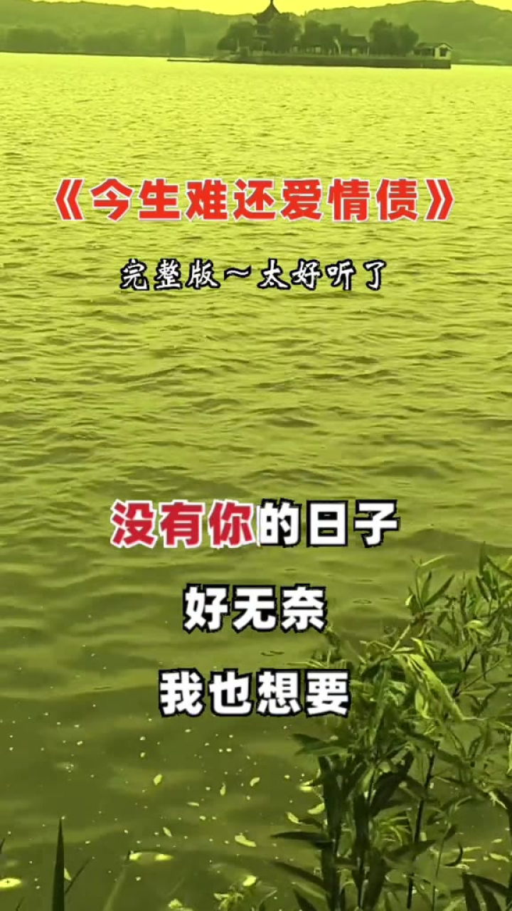 今生难还爱情债 #伤感音乐#经典老歌#百听不厌