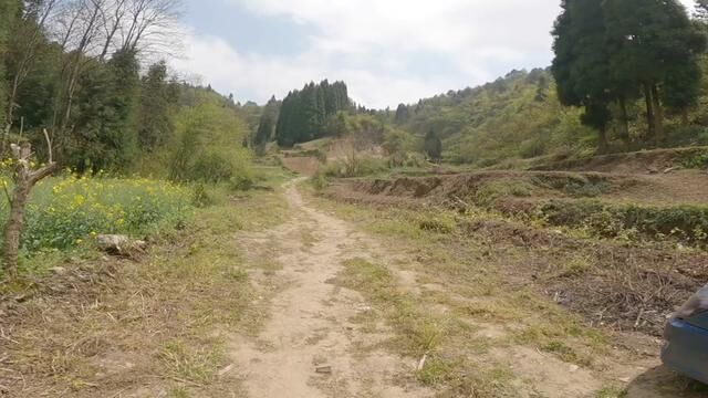 #旅行vlog #感受大自然 出去徒步爬山一定要给自己拍一段vlog视频