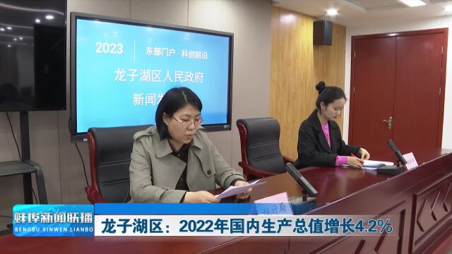 龙子湖区:2022年国内生产总值增长4.2%