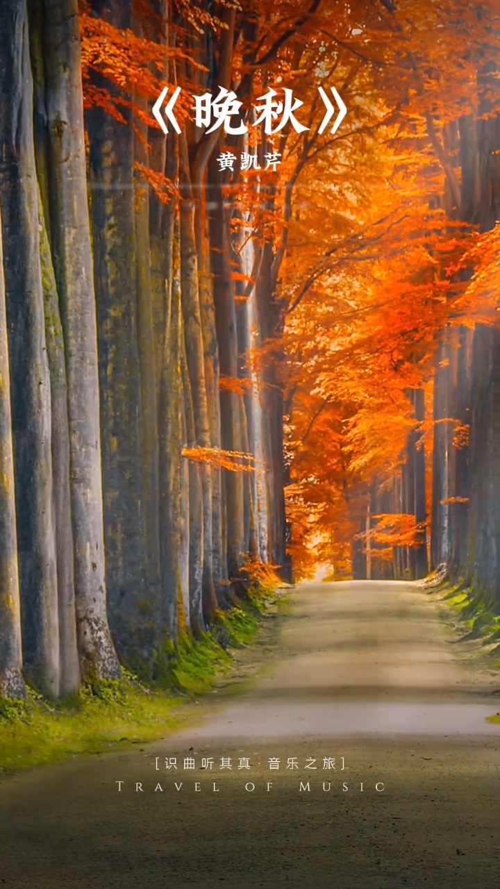 落叶纷飞,秋天的盛宴开始了!