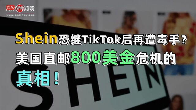 Shein恐继TikTok后再遭毒手?美国直邮800美金危机的真相!