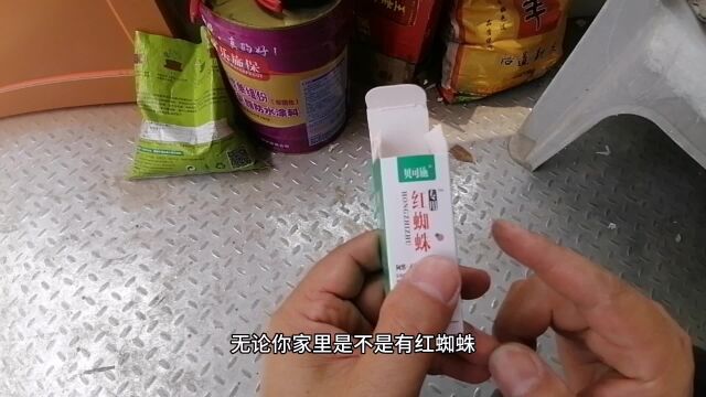 红蜘蛛“杀不完”?用这个方法,简单又有效