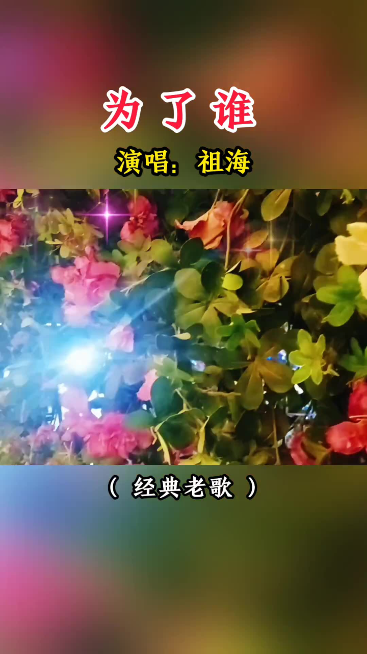 为了谁歌曲插图图片图片