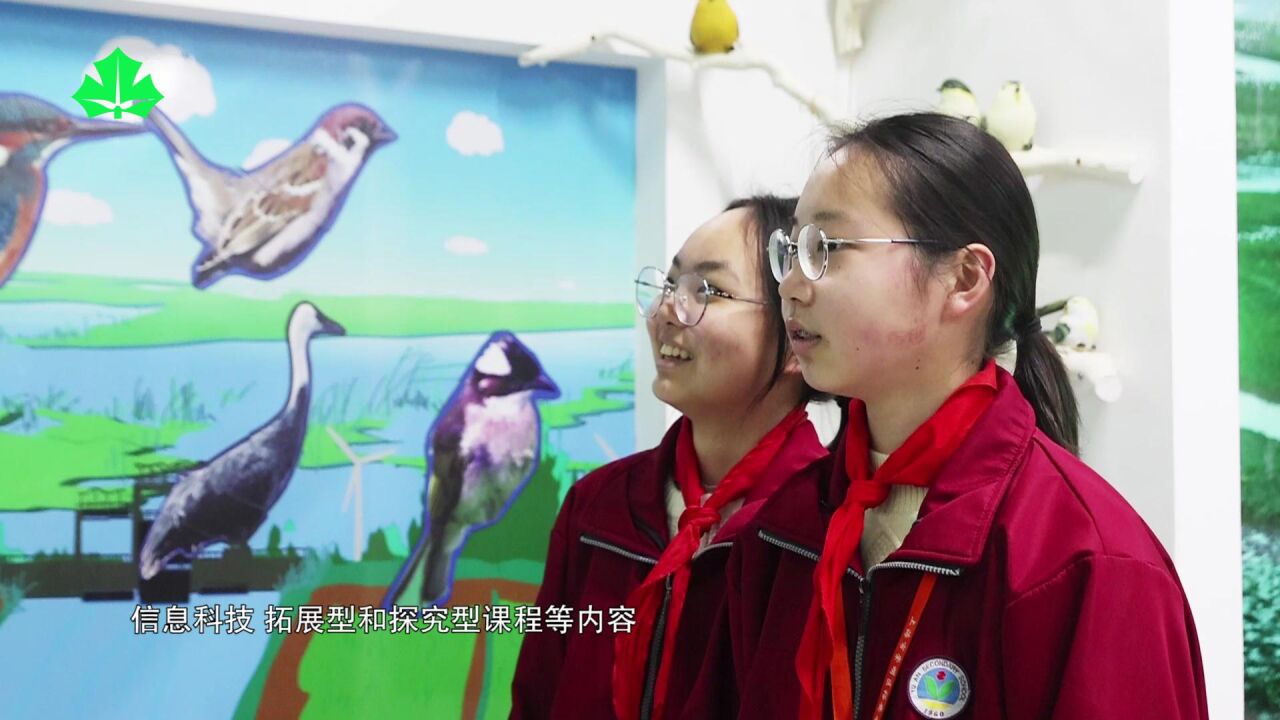 上海教育电视台《申学记》家门口的好校园:上海市崇明区裕安中学