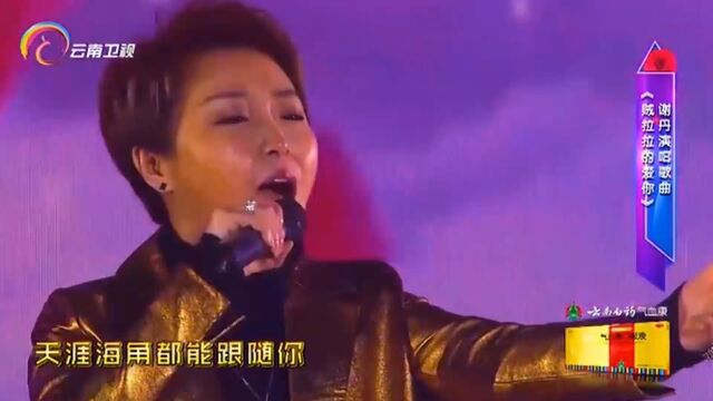 谢丹演唱《我贼拉拉的爱你》,经典歌曲,好听极了