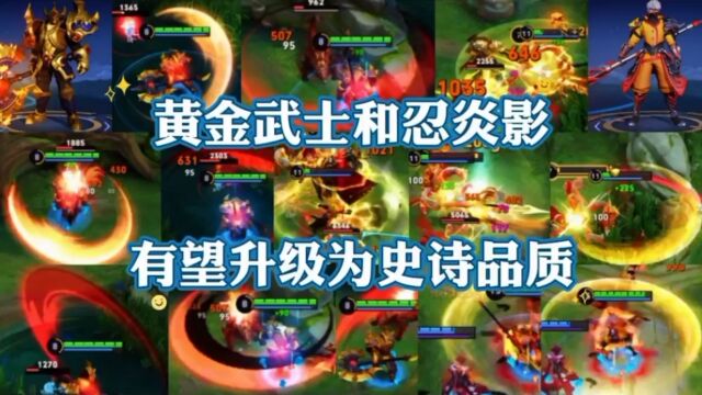 典韦(黄金武士)和赵云(忍炎影)有望升级为史诗品质