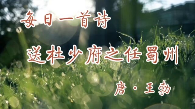 古诗诵读:《送杜少府之任蜀州》唐ⷧŽ‹勃