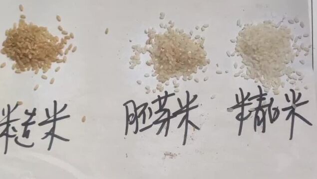 家用碾米机碾的什么大米?