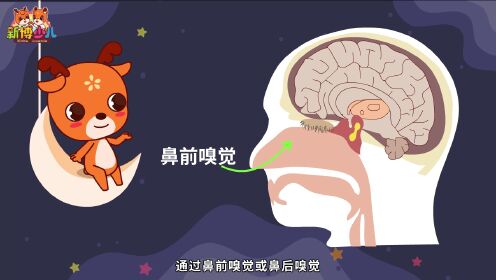 第03集人为什么能闻到气味_高清1080P在线观看平台_腾讯视频