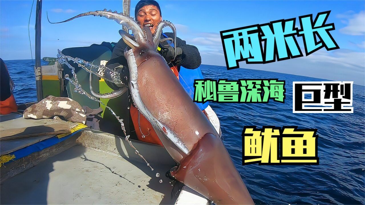 秘鲁深海抓巨型鱿鱼,接近两米长重50多斤,眼珠子跟牛眼珠一样