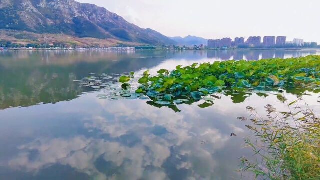 太美啦!谁把朝阳,拍的如此美丽?