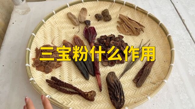 梅花鹿有三宝,三宝打粉有什么作用,有什么反应的适合三宝粉