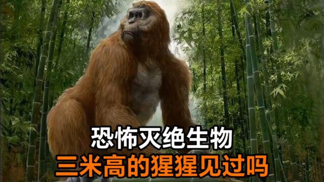 恐怖灭绝生物