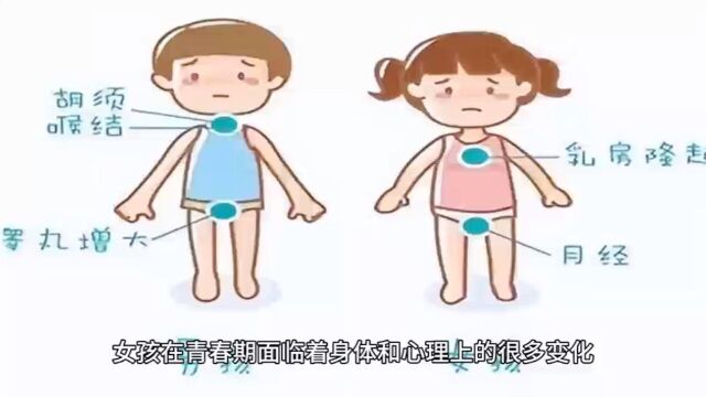 “高洁丝女生课堂”走进上海小学,助力女生树立科学的经期认知.