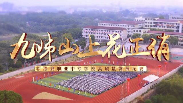 临澧县职业中专学校2023年宣传片