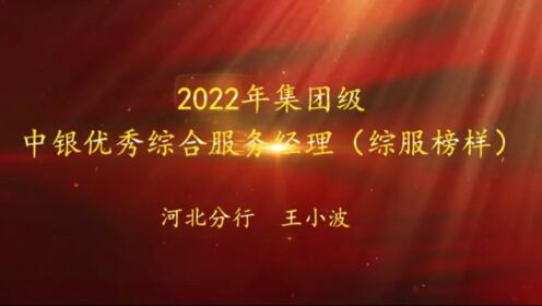 2022年集团级中银优秀综合服务经理（综服榜样）——河北分行张家口桥东支行 王小波