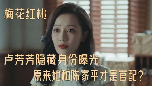 《梅花红桃》：卢芳芳隐藏身份曝光，原来她和陈家平才是官配？