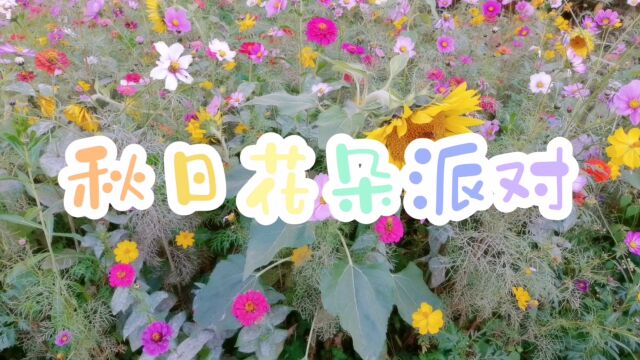 【生活化手绘】秋日植物派对!