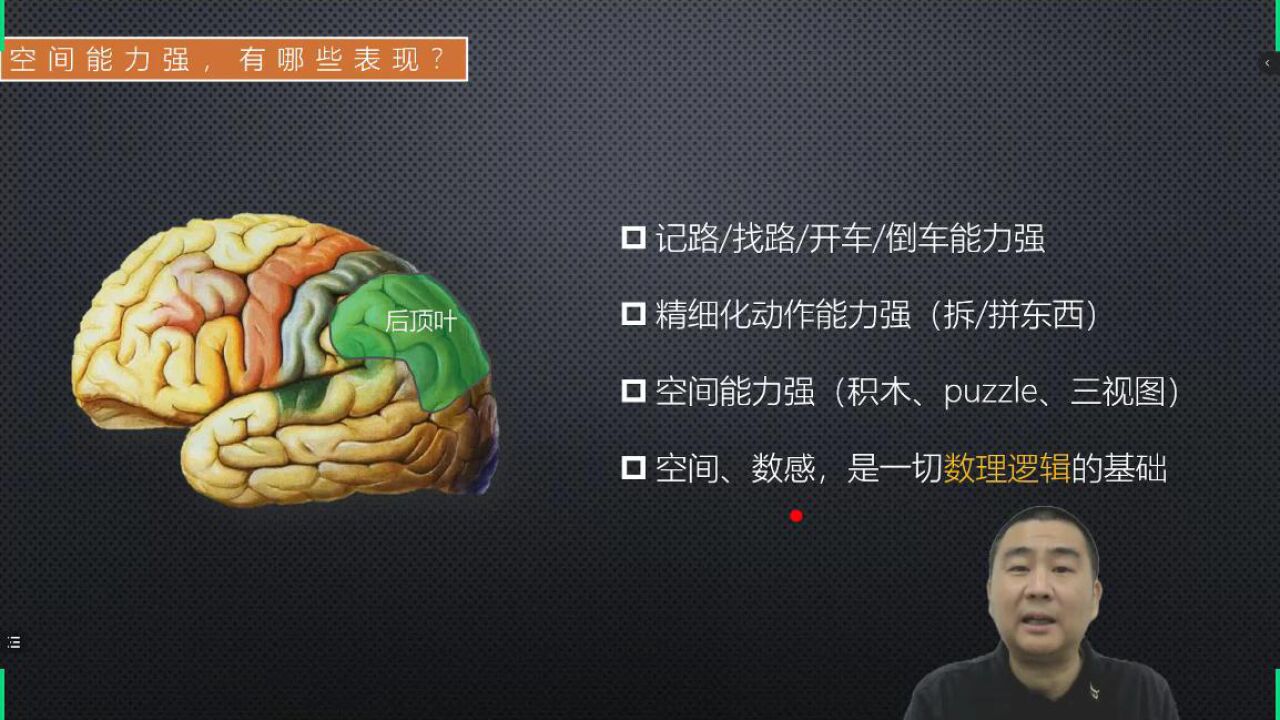 脑的“四叶模型”——顶叶:空间与数感_腾讯视频