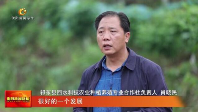 祁东:新型职业农民 以创业带动就业