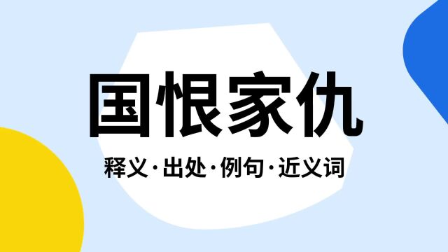 “国恨家仇”是什么意思?