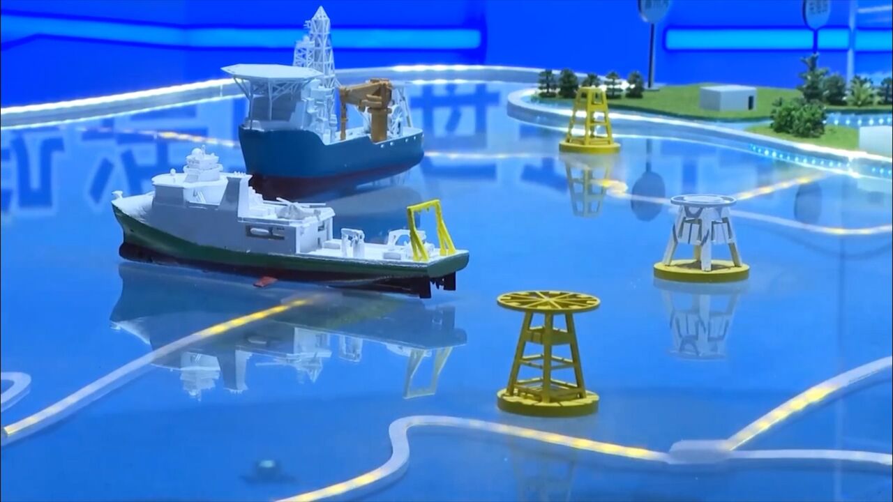 集中力量建设海洋牧场,湛江深远海养殖创新联合体平台成立