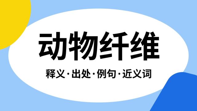 “动物纤维”是什么意思?