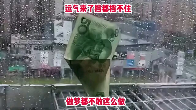 这是大风刮来的,我做梦都不敢这么做啊