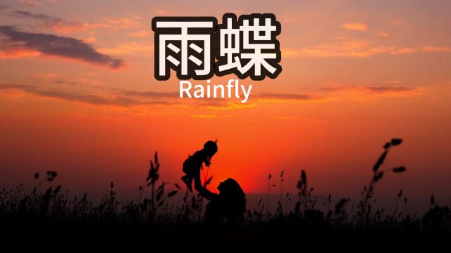 雨蝶,音乐推荐官!