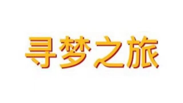 《寻梦之旅——交换生们的出国经历》