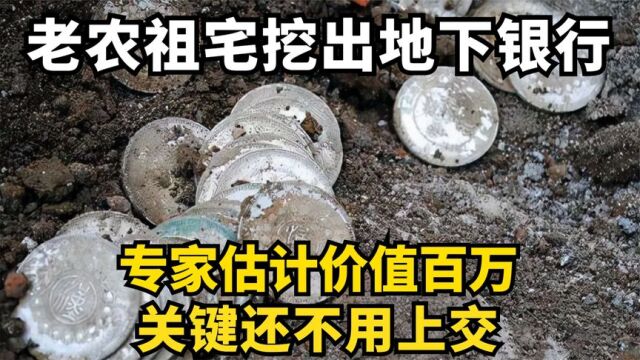 老农祖宅挖出地下银行,专家估计价值百万,关键还不用上交