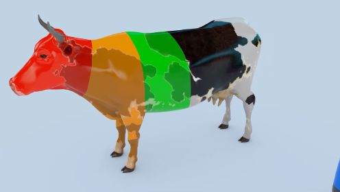 认形状学颜色，我家的奶牛最漂亮丨益智启蒙丨颜色认知