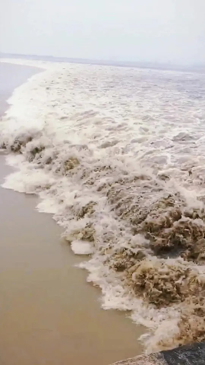 滚滚长江东逝水,浪花淘尽英雄#诗画淅川 #淅川文旅创作协会