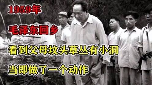1959年，毛泽东回乡，看到父母坟头草丛有小洞，当即做了一个动作