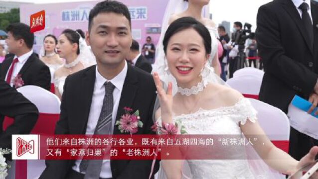 高甜预警!株洲为50对青年人才举办集体婚礼