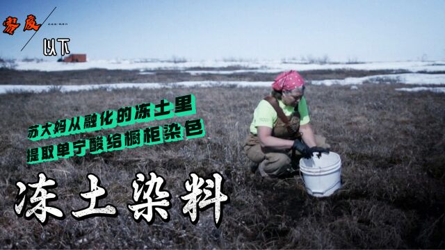 零度以下的生活:苏大妈从融化的冻土层提取单宁酸染料给橱柜染色