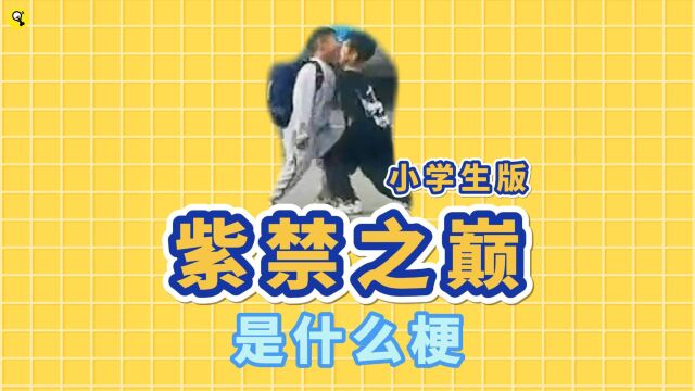 紫禁之巅小学生版是什么梗?现实版紫禁之巅尬舞